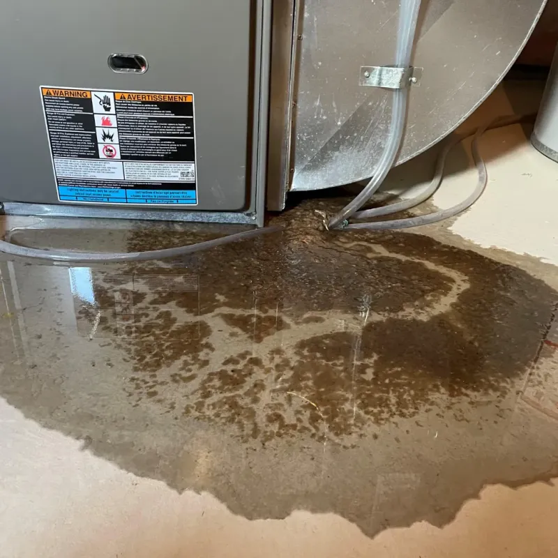 Appliance Leak Cleanup in Hamilton County, KS