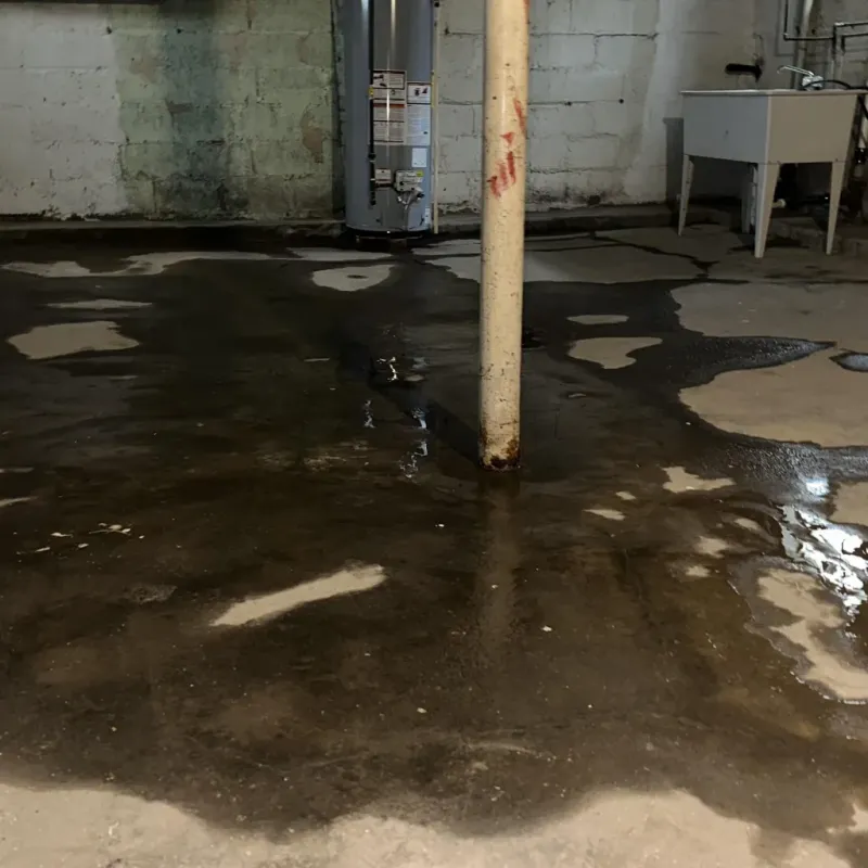 Emergency Water Extraction And Removal in Hamilton County, KS